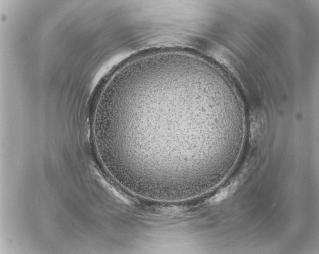 X0000057100973200510071933