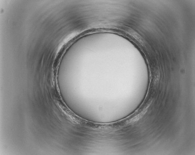 X0000057100974200510071933