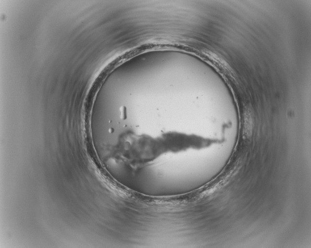 X0000057100976200510071933