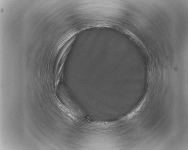 X0000057100977200510071933