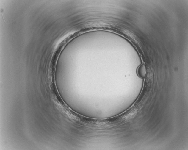 X0000057100979200510071932