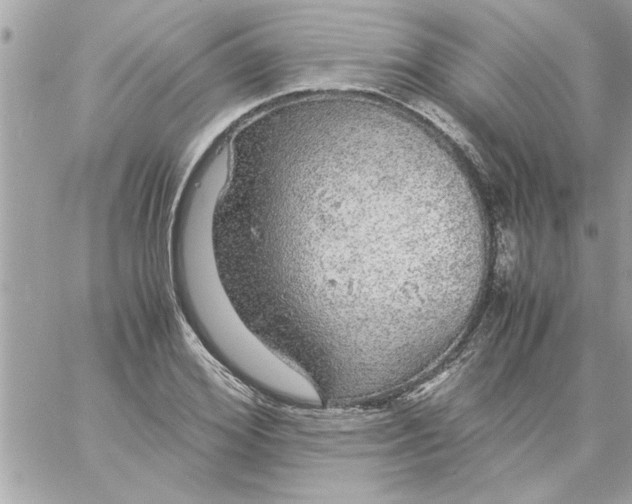 X0000057100980200510071932