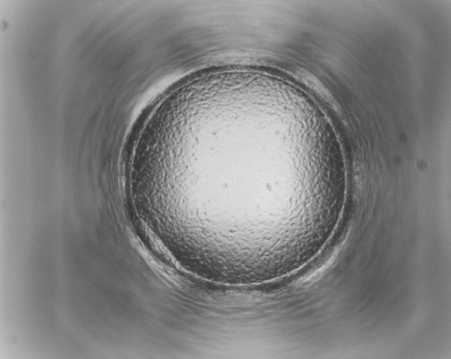 X0000057100981200510071932