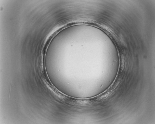 X0000057100982200510071932