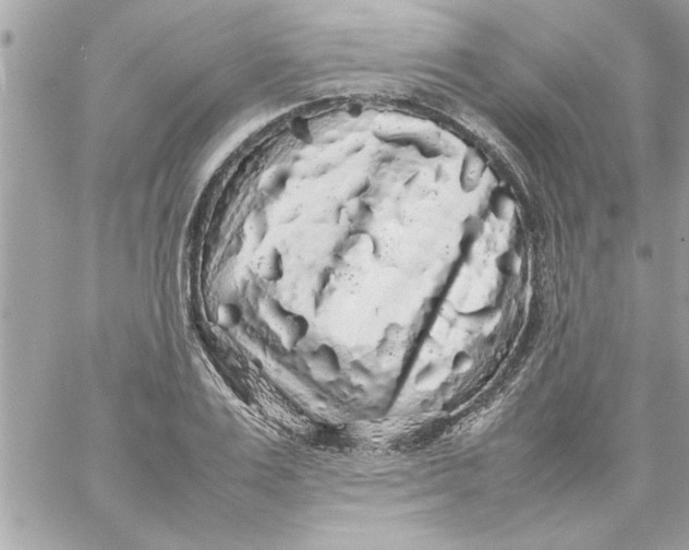 X0000057100983200510071932