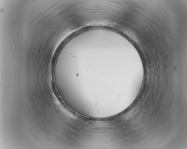 X0000057100984200510071932