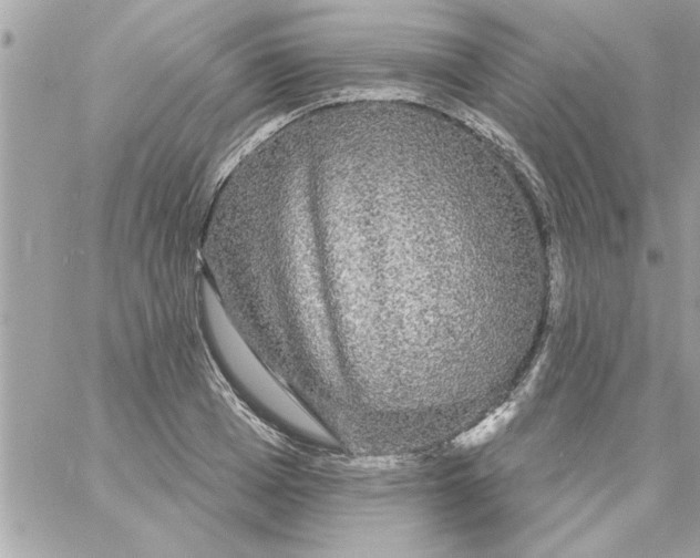 X0000057100985200510071932