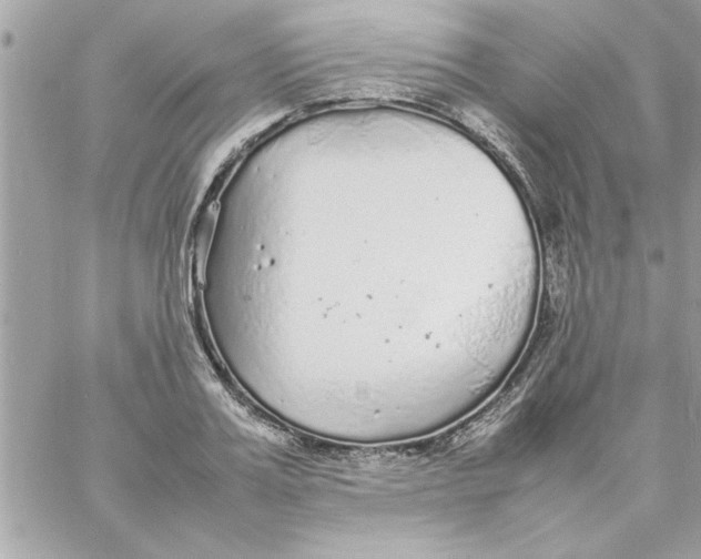 X0000057100987200510071932