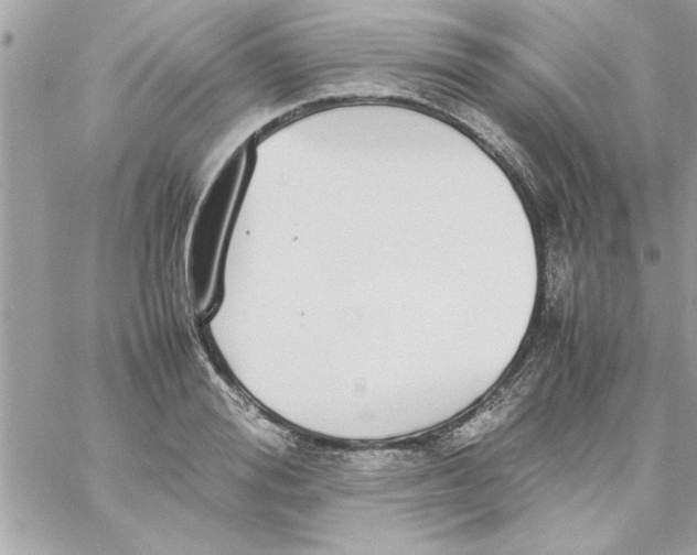 X0000057100988200510071932