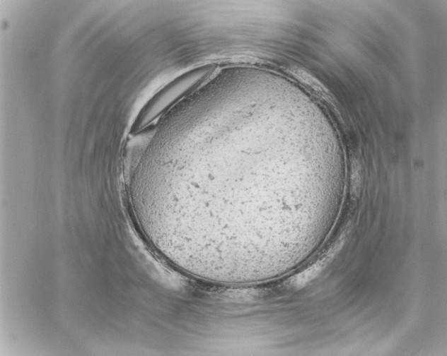 X0000057100989200510071932