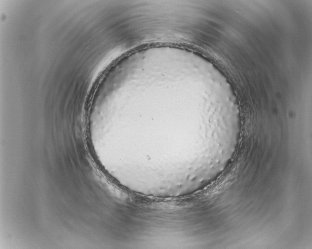 X0000057100990200510071932