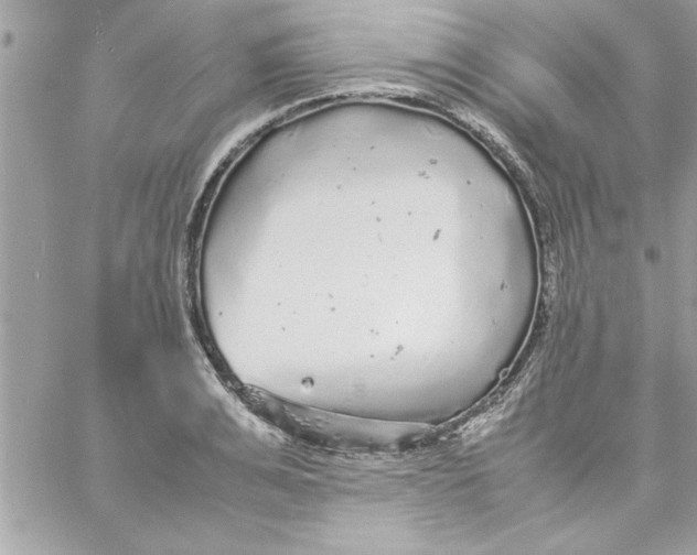 X0000057100991200510071932