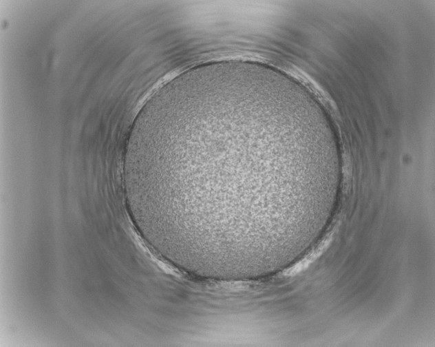 X0000057100993200510071932