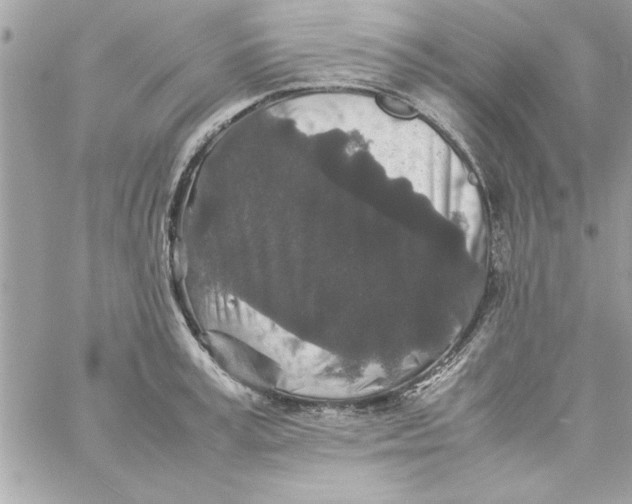 X0000057100995200510071932