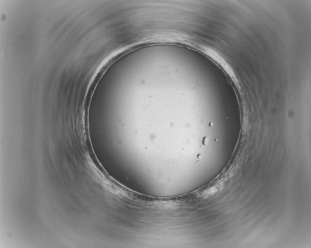 X0000057100996200510071932