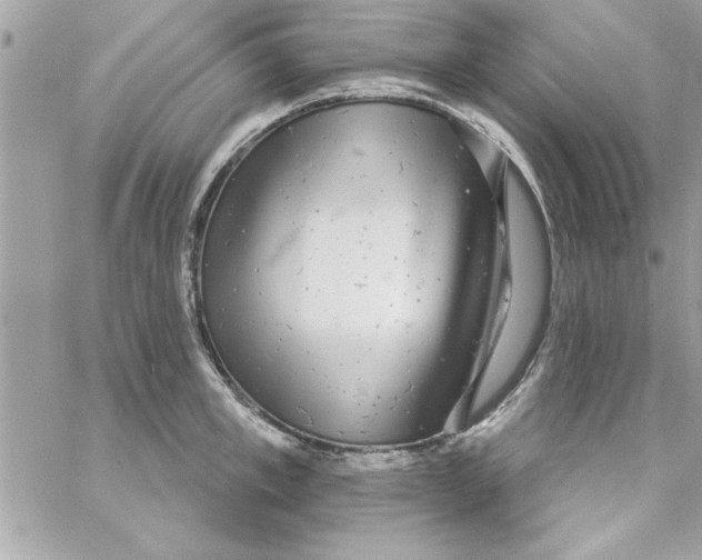 X0000057100997200510071932