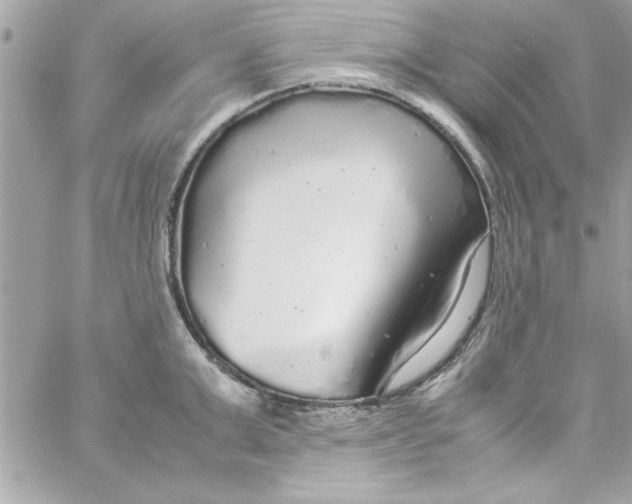 X0000057100999200510071932