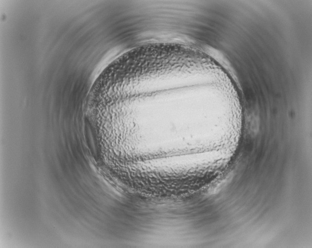 X0000057101002200510071932