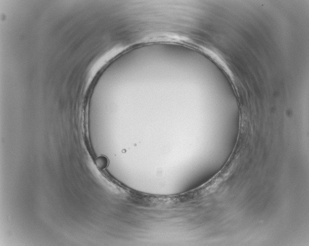 X0000057101003200510071932