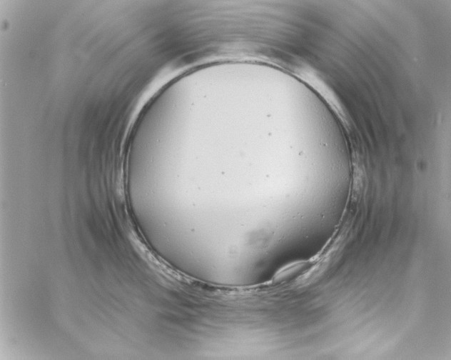 X0000057101004200510071932