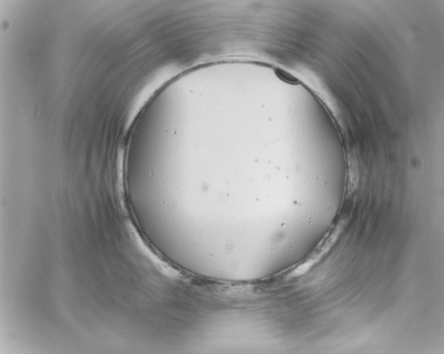 X0000057101006200510071932