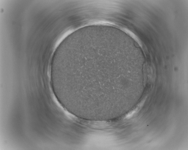 X0000057101007200510071932