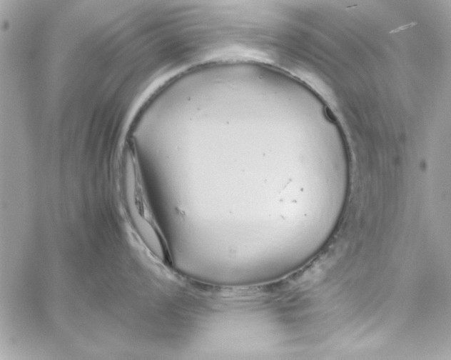 X0000057101008200510071932