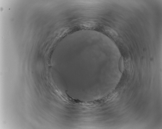 X0000057101009200510071931