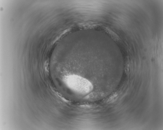 X0000057101010200510071931