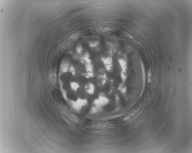 X0000057101011200510071931