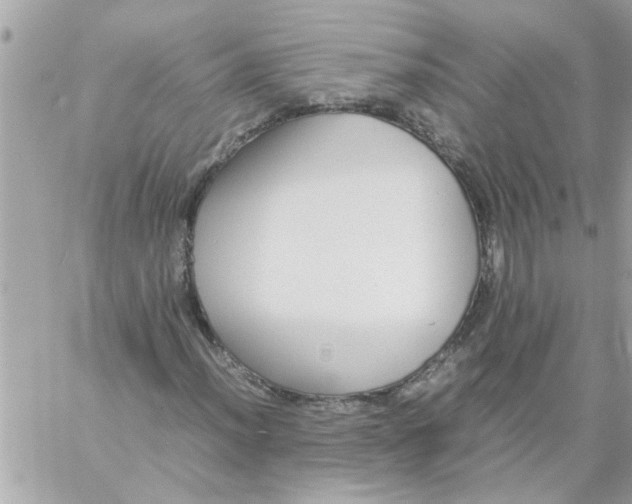 X0000057101012200510071931