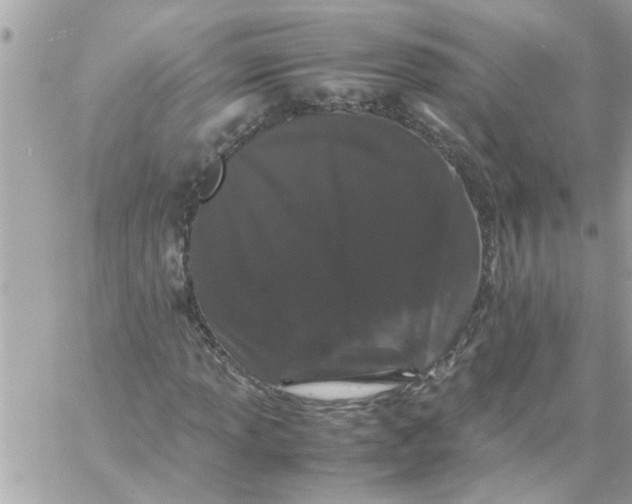 X0000057101013200510071931