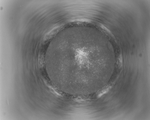 X0000057101014200510071931