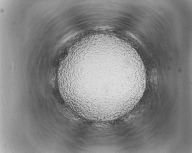 X0000057101015200510071931