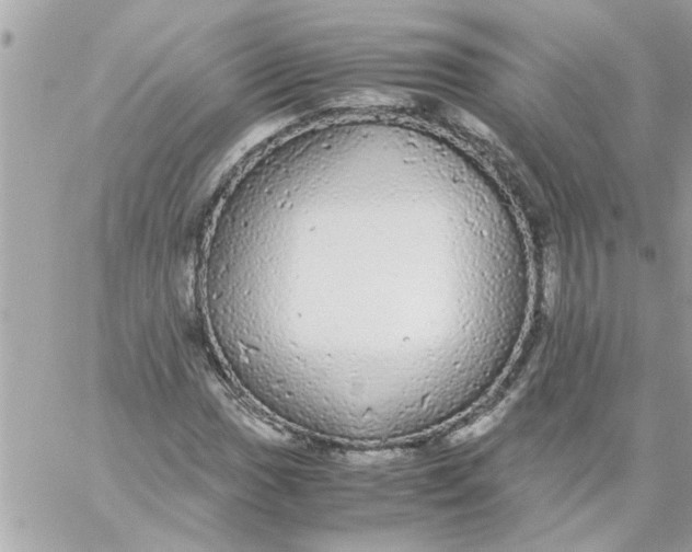 X0000057101017200510071931