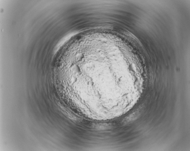 X0000057101019200510071931