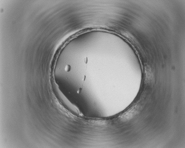 X0000057101020200510071931