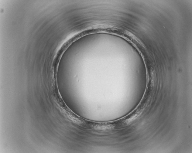 X0000057101021200510071931