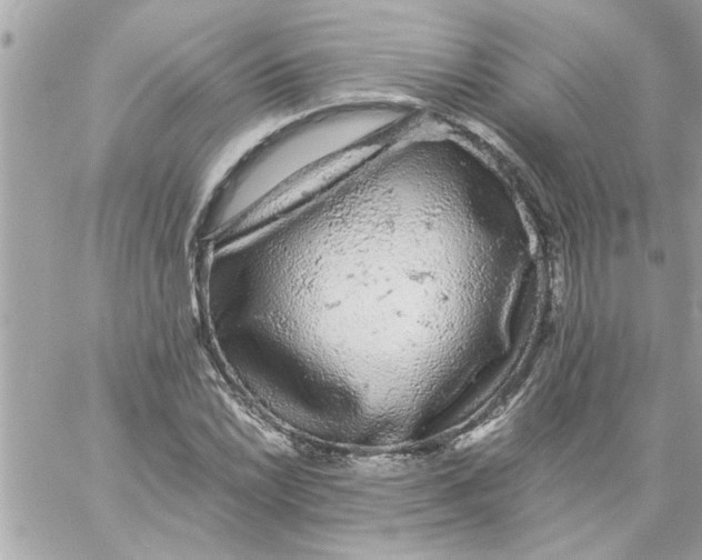 X0000057101022200510071931