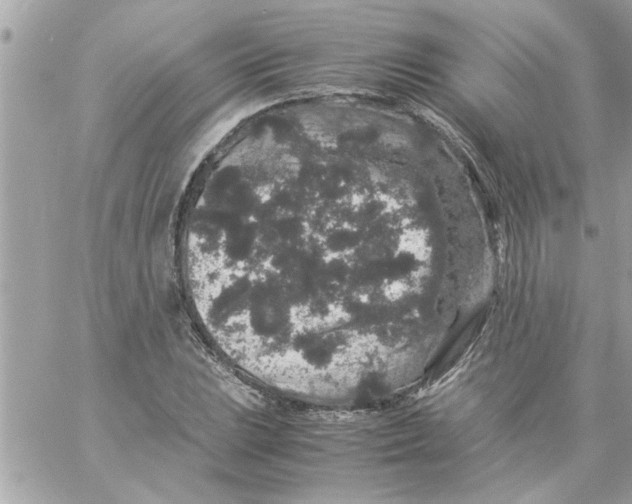 X0000057101023200510071931