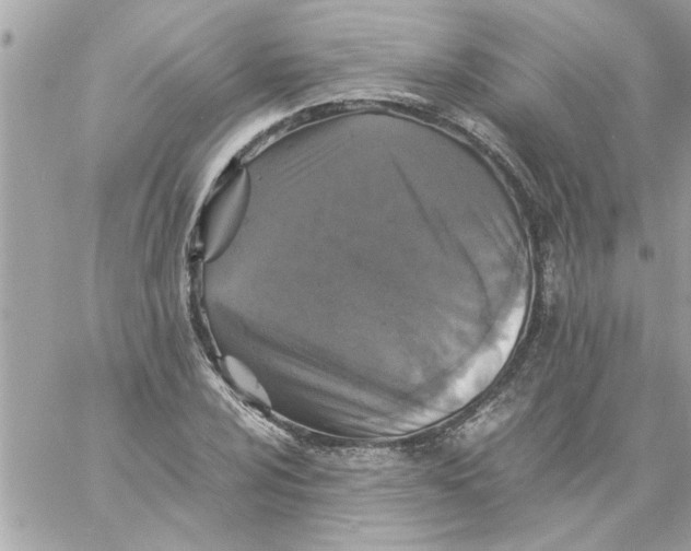 X0000057101024200510071931