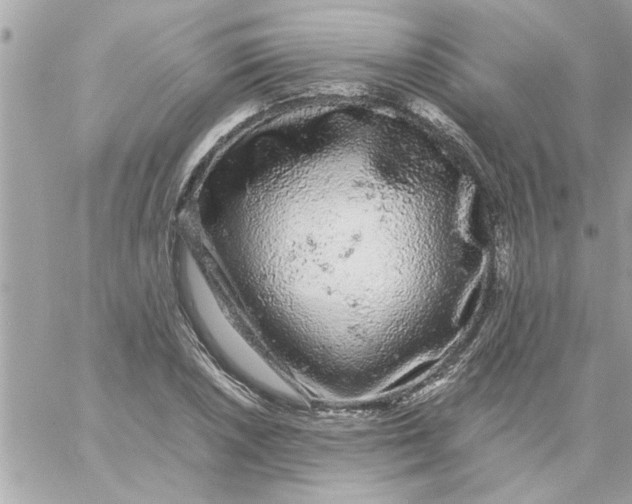 X0000057101026200510071931