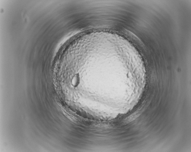 X0000057101027200510071931