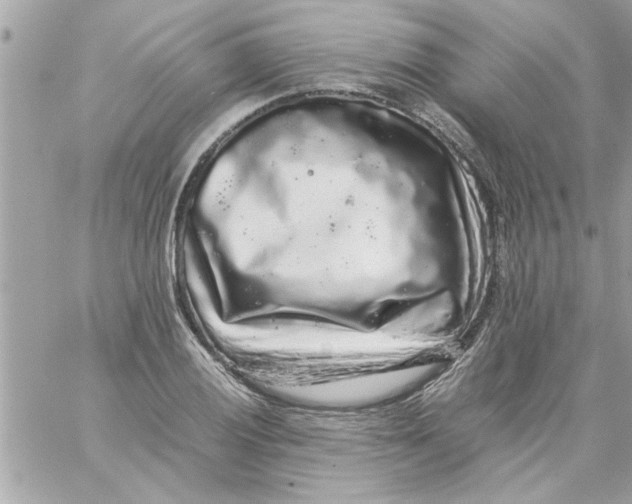 X0000057101028200510071932