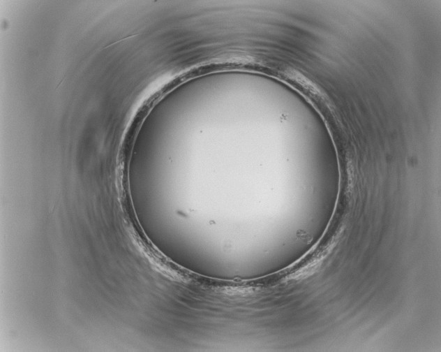 X0000057101029200510071932