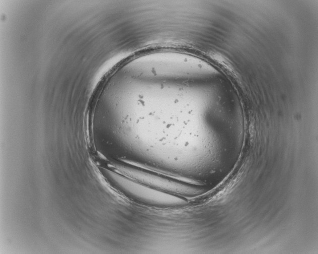 X0000057101030200510071932