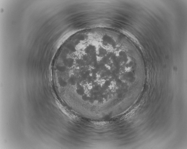 X0000057101031200510071932