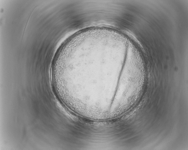 X0000057101032200510071932