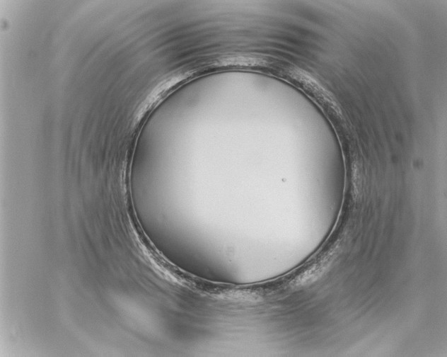 X0000057101033200510071932