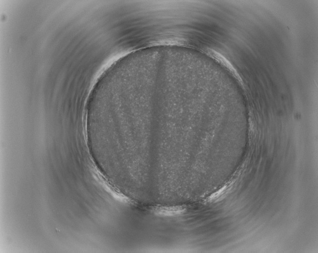 X0000057101035200510071932